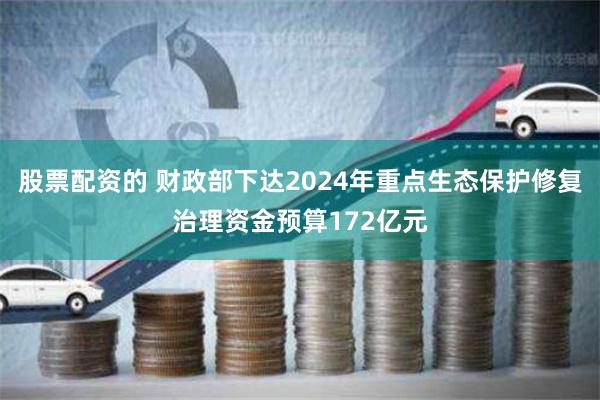 股票配资的 财政部下达2024年重点生态保护修复治理资金预算172亿元