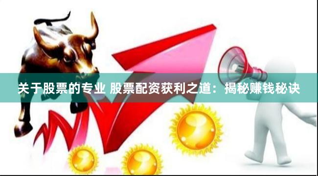 关于股票的专业 股票配资获利之道：揭秘赚钱秘诀
